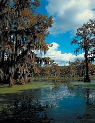 Lake Caddo photo by TxDOT